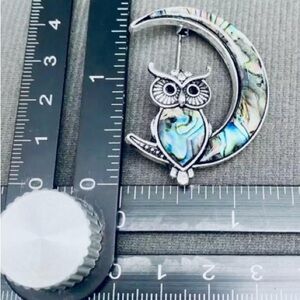 Abalone, Silver Tone Owl Moon Brooch